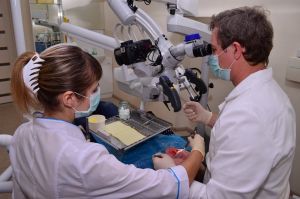 Стоматология Рудаковых «Эстетическая стоматология». Медицина, здоровье > Стоматологии, Запорожье