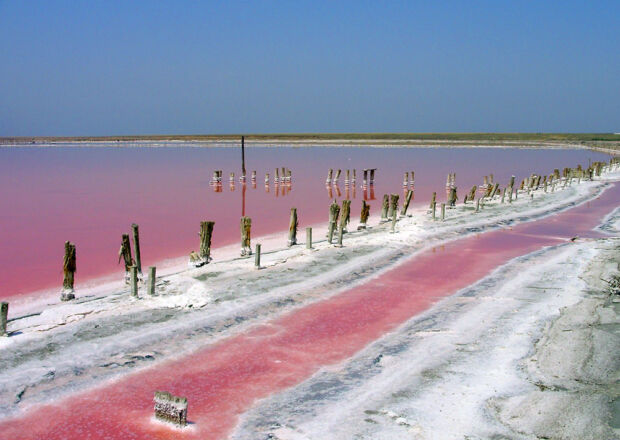 Розовое озеро, Запорожье