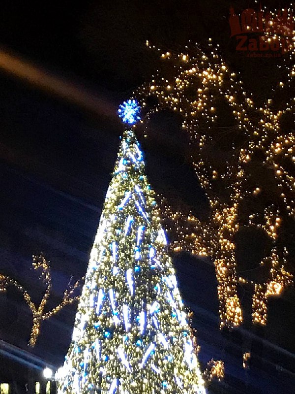 Новогодняя елка, Запорожье
