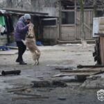 Запоріжжяобленерго допоможе відновити притулок для тварин