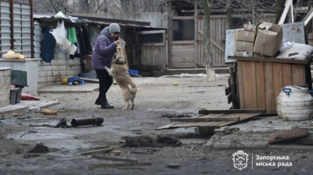 Запоріжжяобленерго допоможе відновити притулок для тварин