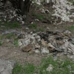 Сміттєзвалища біля дитячого майданчика і футбольного поля Запоріжжя