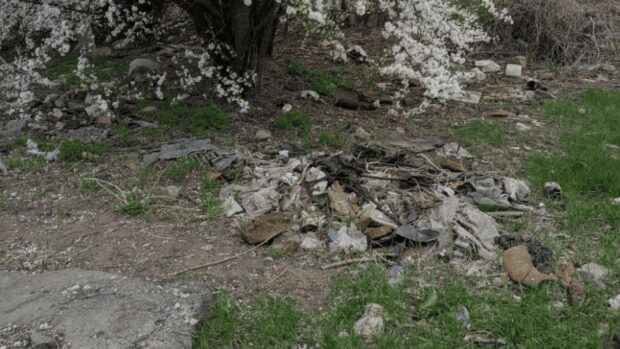 Сміттєзвалища біля дитячого майданчика і футбольного поля Запоріжжя