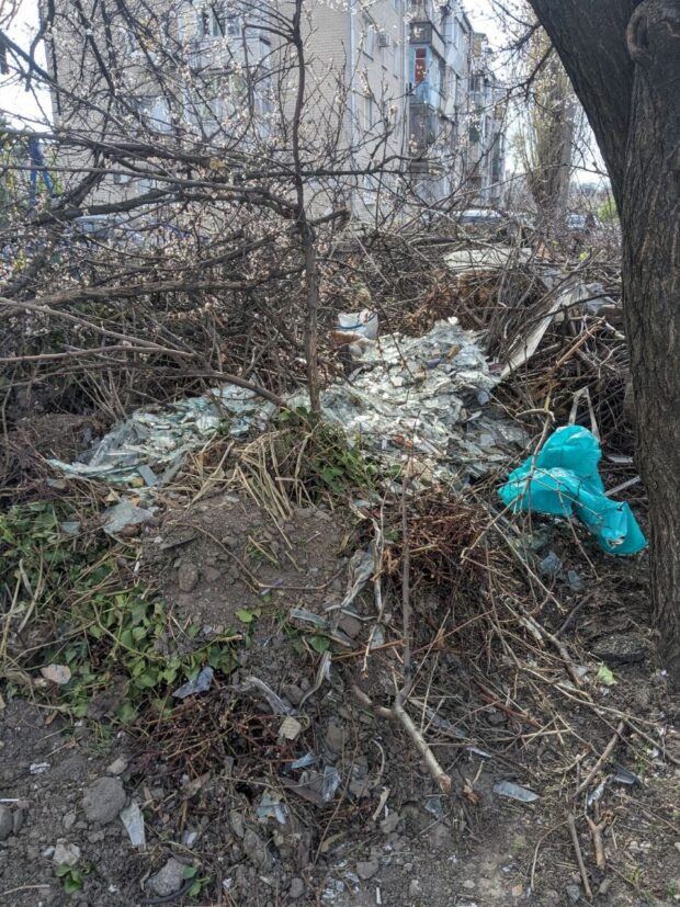 Сміттєзвалища біля дитячого майданчика і футбольного поля Запоріжжя